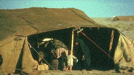 Goat hair tent as used today by Bedouins